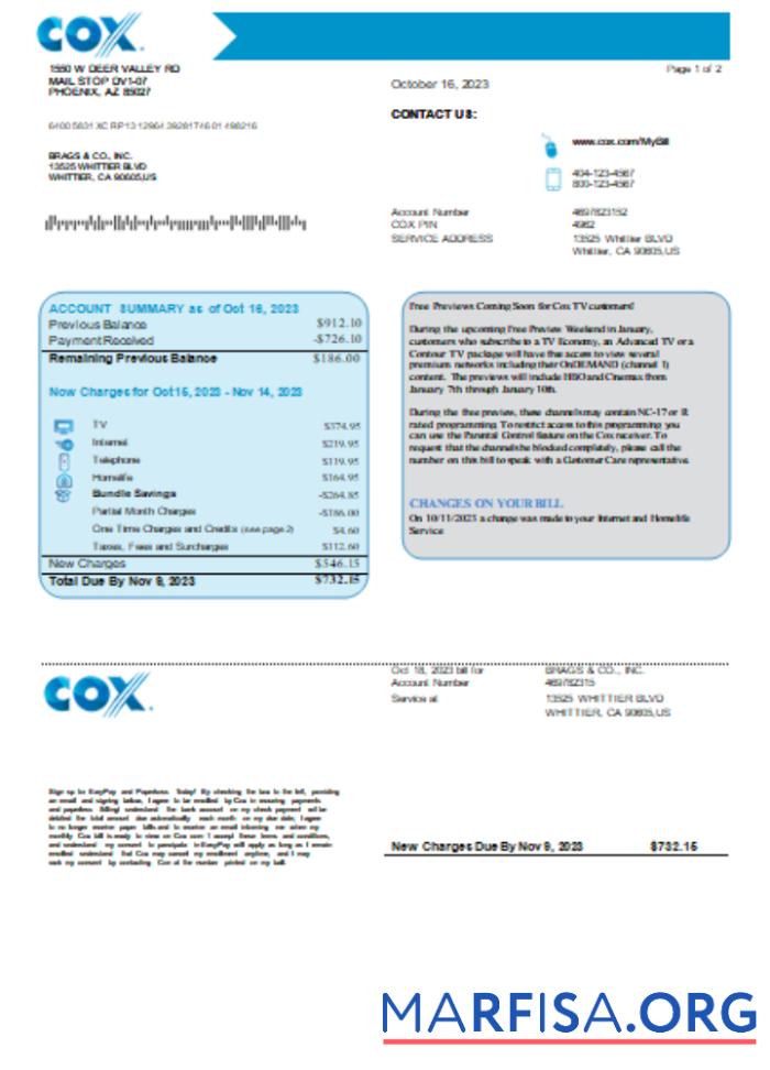 Realistic COX utility business bill, page1, SCR example